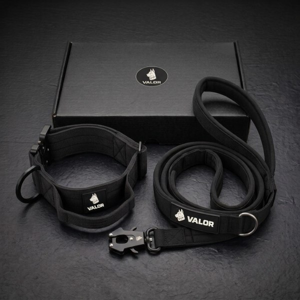 Équipement pour chiens VALOR, campagne créée par Kévin Vigreux — coffret complet, collier et laisse avec packaging