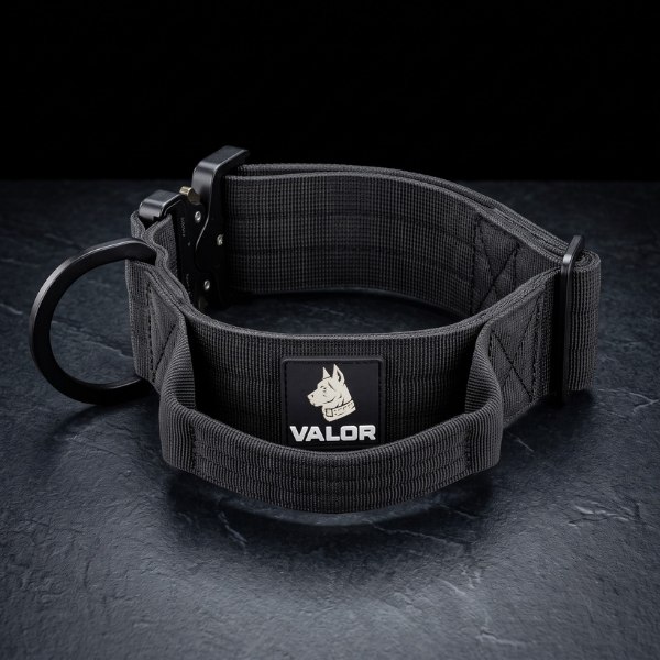 Équipement pour chiens VALOR, campagne créée par Kévin Vigreux — packshot du collier tactique, sangle renforcée